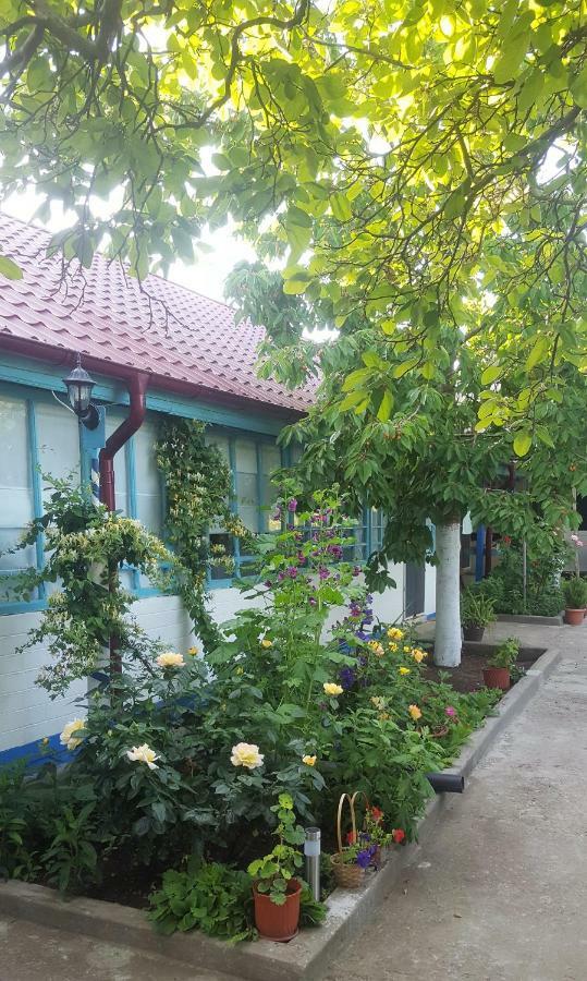Casa Bunicilor Granny'S House Villa Jurilovca Eksteriør bilde